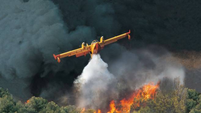 canadair.jpg