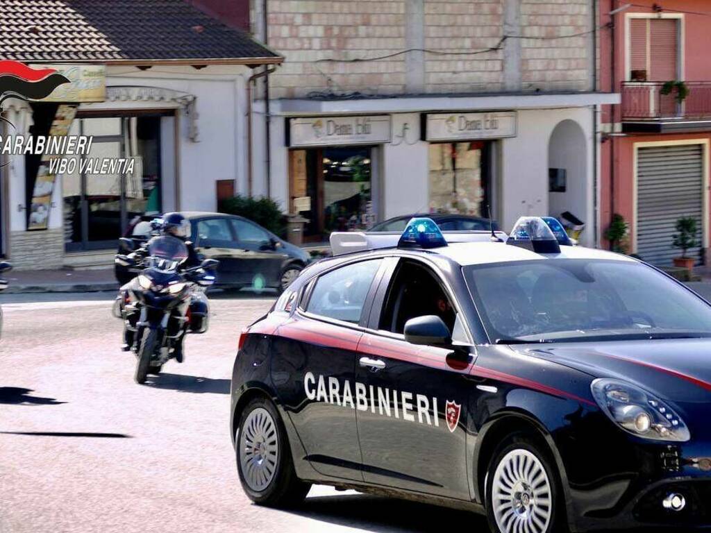 Ndrangheta, armi, droga e tanto altro: le operazioni dei carabinieri nel  Vibonese (VIDEO) - Zoom24