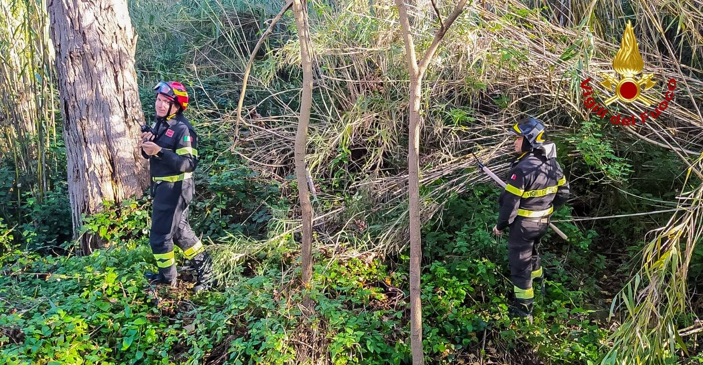 vigili del fuoco ricerche scomparso