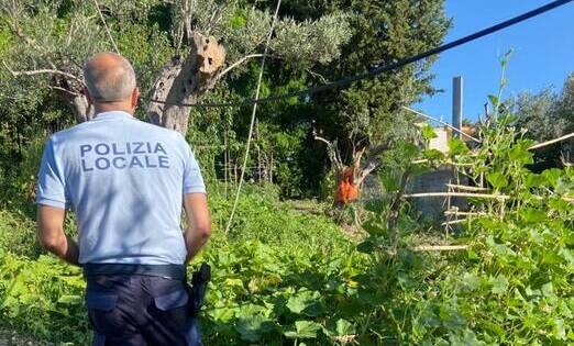 Allacci Abusivi Alla Rete Idrica 16 Persone Denunciate In Calabria 